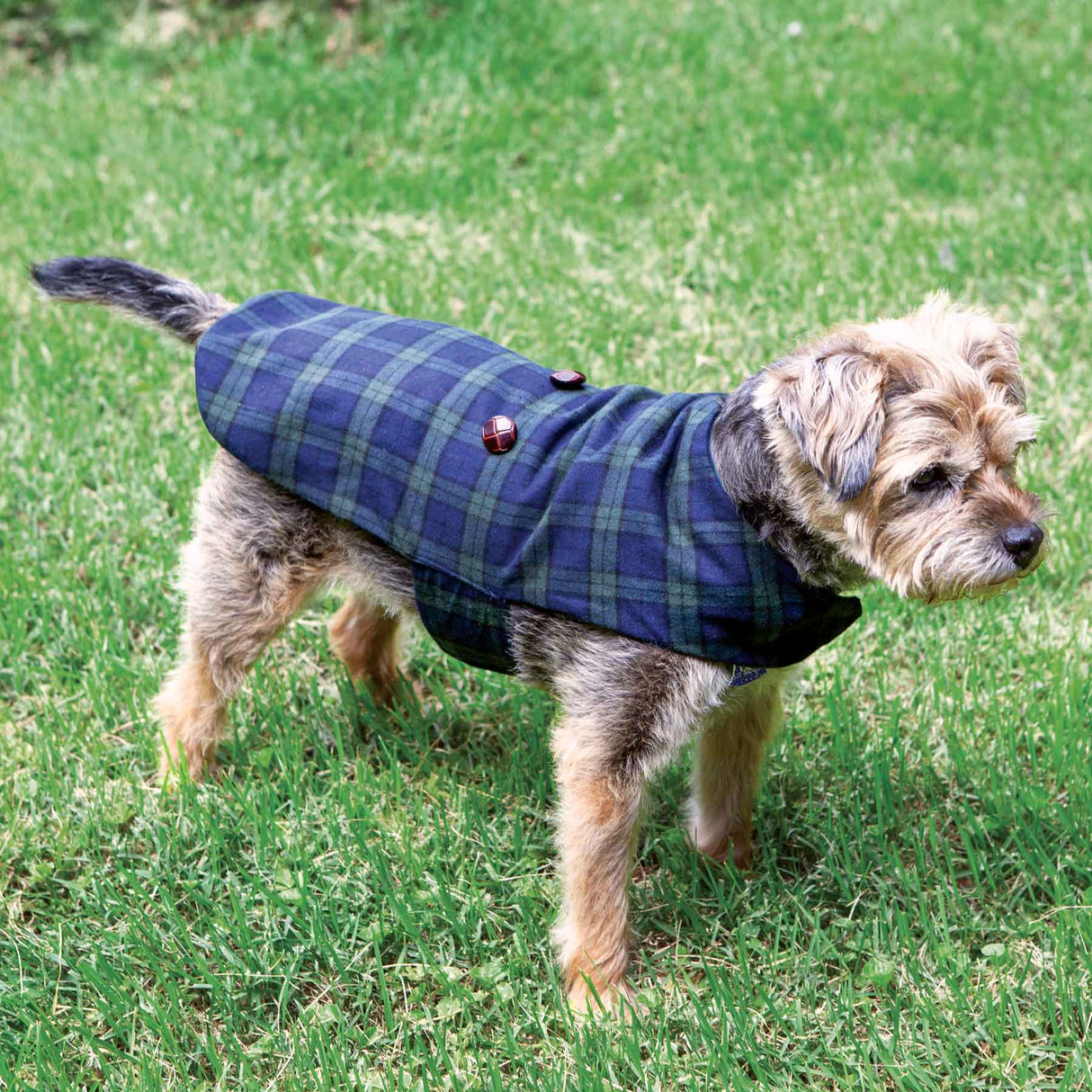 Dog Grandfather Shirt - Creative Irish Gifts