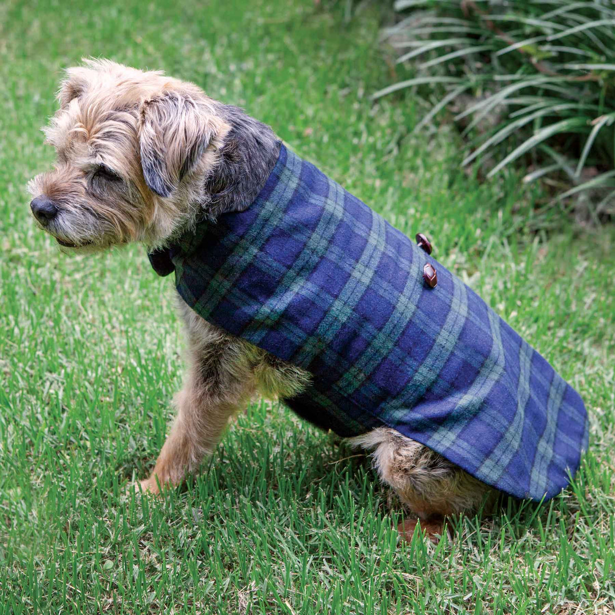 Dog Grandfather Shirt - Creative Irish Gifts