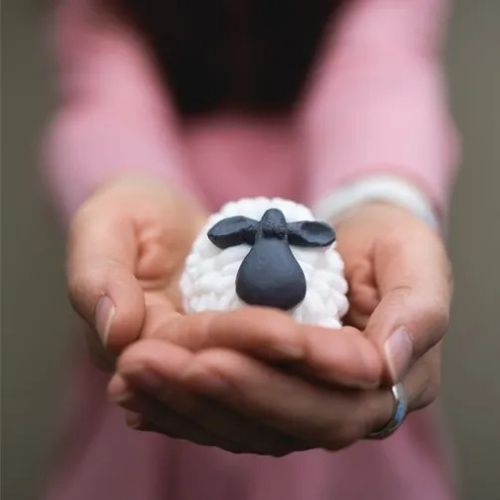 POACSWHGR Handmade The Curragh Irish Sheep Organic Soap Creative Irish Gifts
