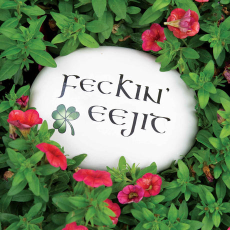 Feckin' Eejit Garden Stone - Creative Irish Gifts