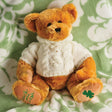 Luck Of The Irish Teddy Bear - Creative Irish Gifts
