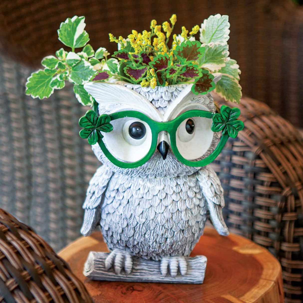 Owl with Shamrock Glasses Planter - Creative Irish Gifts