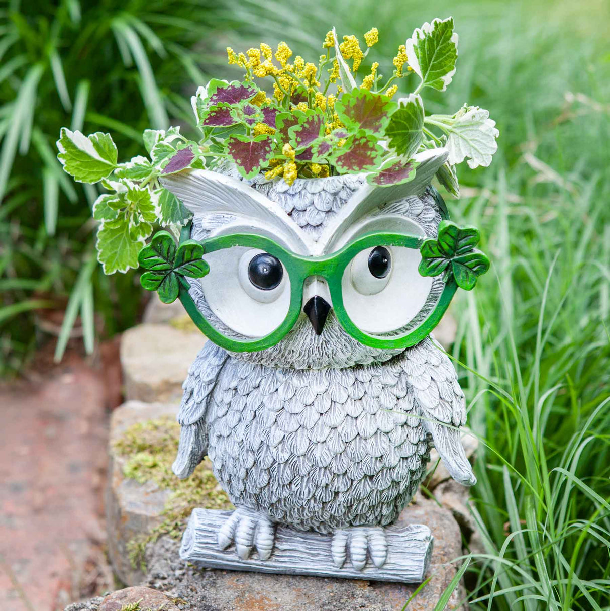 Owl with Shamrock Glasses Planter - Creative Irish Gifts